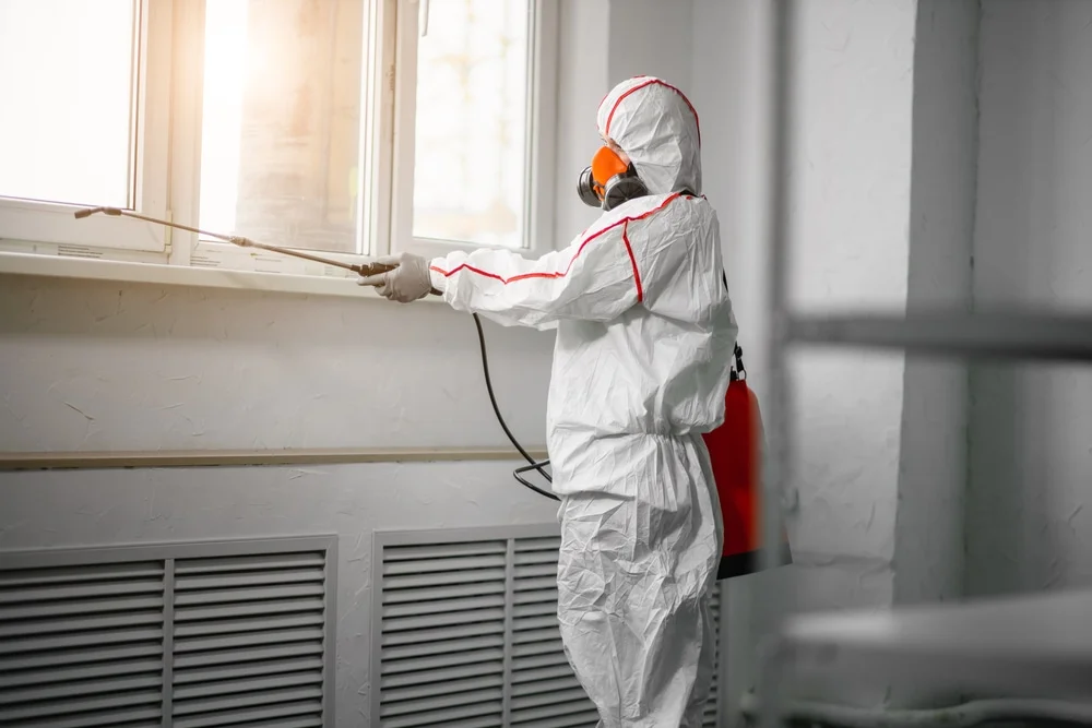 Professional mold remediation services in Morristown, NJ